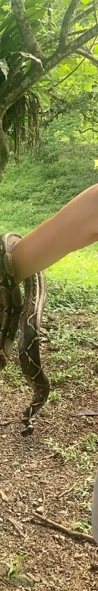 Schlangenbeschwörerin